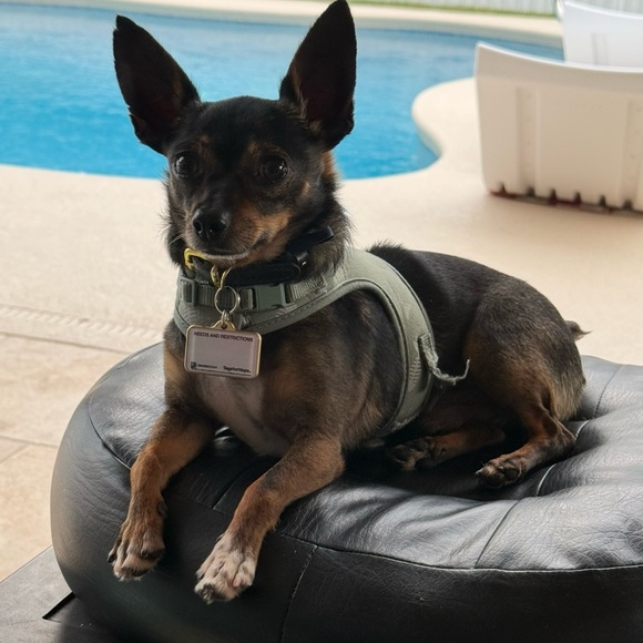 Meet your Posher, Jill - Picture 10 of 12